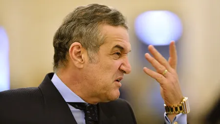 Lovitură pentru Gigi Becali. ICCJ i-a respins cererea de reabilitare. 