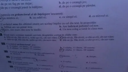 BAREME ROMANA COMPER 2020. Cum se rezolvau subiectele la Comper Romana 2020. Calculează punctajele!