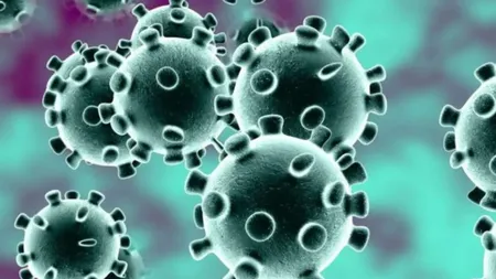 Numărul cazurilor de coronavirus a ajuns la 14 în Thailanda. Încă şase persoane au fost infectate