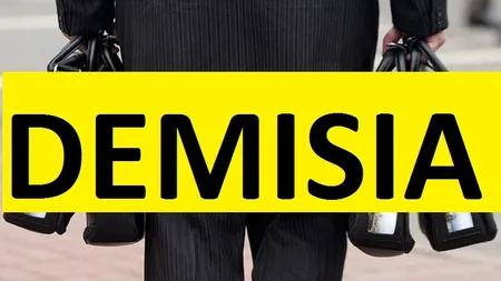 Premierul a demisionat şi cere alegeri anticipate