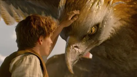 Expoziţie inspirată de animalele fantastice create de J. K. Rowling, deschisă la Londra