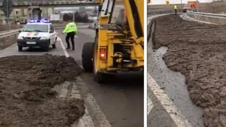 Circulaţia a fost blocată! Autostradă A4, plină de bălegar! 