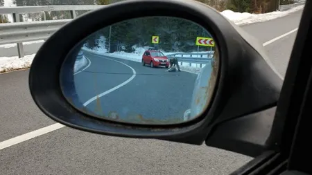 IMAGINI HORROR! Câine împuşcat în faţa unui copil de 6 ANI. Dosar PENAL pentru AGRESOR