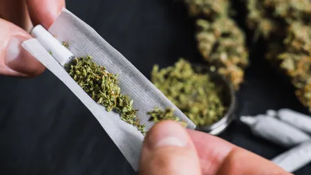 Agenţia Naţională Antidrog: Canabisul rămâne în continuare cel mai consumat drog din România
