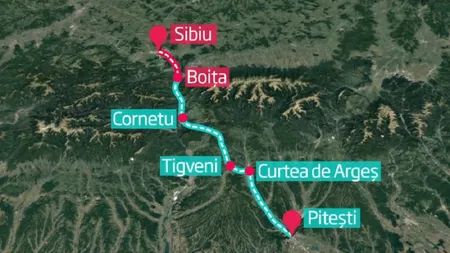 ŞOCANT! O specie de gândac ar putea opri construcţia autostrăzii Sibiu - Piteşti. FOTO DOCUMENT de la Comisia Europeană