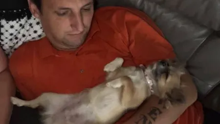 Povestea impresionantă a căţelului care şi-a riscat viaţa pentru stăpâni. A intrat în flăcări ca să-i salveze