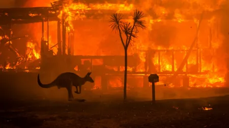 Incendiile de vegetaţie din Australia: trei acuzaţi, judecaţi în instanţă
