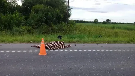 Tragedie pe şosea. Un atlet de 26 de ani, participant la Olimpiada de la Rio, a murit într-un accident