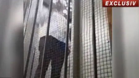 Viceprimarul Capitalei a căzut cu liftul în sediul prefecturii Capitalei VIDEO