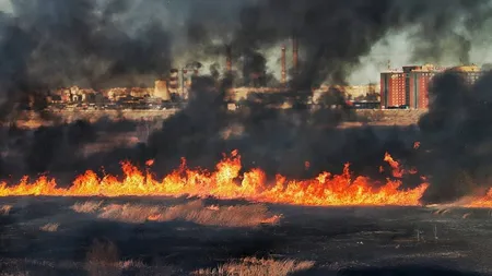 Incendiu puternic în Delta Văcăreşti. Flăcări uriaşe distrug vegetaţia VIDEO şi IMAGINI EXCLUSIV
