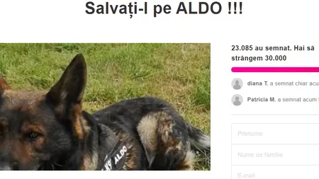 PETIŢIE ONLINE. Salvaţi-l pe Aldo, câinele poliţist intrat în depresie după pensionarea stăpânului. Sunt deja peste 20.000 de semnături