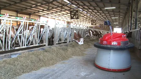 Un crescător de vite din Bistriţa a renunţat la angajaţi şi a pus roboţii să-i mulgă vacile