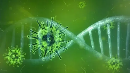 Un nou virus descoperit în Brazilia e compus din gene care nu se mai găsesc nicăieri în natură