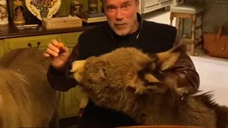 Arnold Schwarzenegger s-a autoizolat la domiciliu cu animalele sale de companie: poneiul Whiskey şi măgarul Lulu VIDEO