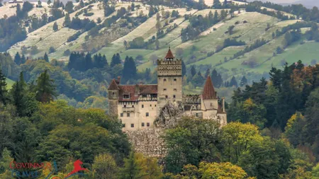 Primăria Bran, închisă după ce un angajat a fost depistat pozitiv cu coronavirus