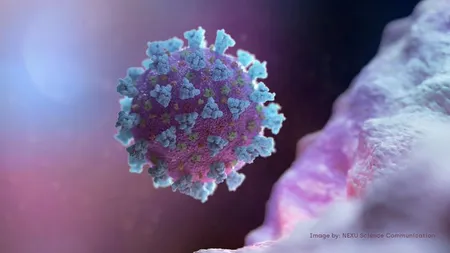 PANDEMIE CORONAVIRUS. Virusul supravieţuieşte în plămânii pacienţilor decedaţi