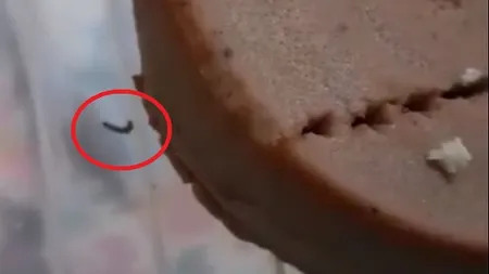 Alin Tişe, despre viermii găsiţi în mâncare la Spitalul de Copii din Cluj: 