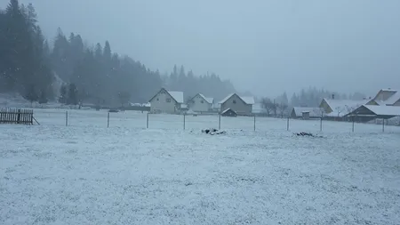 S-a întors IARNA. Ninge ca-n poveşti în Bucovina - FOTO şi VIDEO