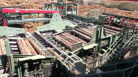 HS Timber Group, măsuri suplimentare pentru protecţia angajaţilor după un deces de Covid-19 la fabrica din Rădăuţi