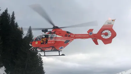 Doi turişti, atacaţi de un urs în Munţii Călimani. Unul dintre ei a fost grav rănit