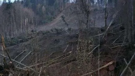 Alunecarea masivă de la Azuga ar putea fi urmată de un alt dezastru. În zonă este pericol de inundaţie
