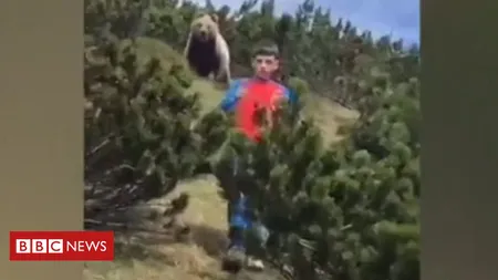 Imagini şocante! Un băieţel de doar 12 ani este urmărit de un urs brun în timpul unei excursii - VIDEO
