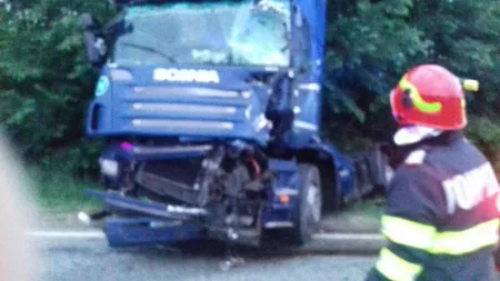 Accident grav. Căprioară moartă pe şosea