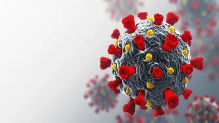 Ce gen este COVID-19? Academia Franceză a analizat toate aspectele care ţin de coronavirus