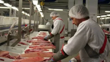 Român mort de coronavirus în Germania. Muncea într-o fabrică de prelucrare a cărnii