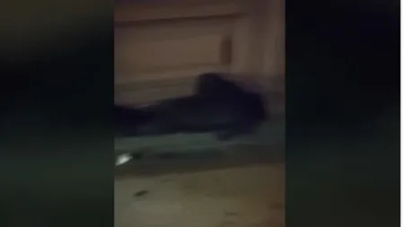 Muncitori români, aruncaţi în stradă de patroni în Germania: 