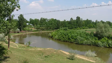Povestea cutremurătoare a băiatului de 10 ani care a murit cu declaraţia pe proprie răspundere în mână