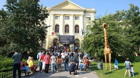 Noi reguli pentru activităţile culturale: Vizita la muzeu doar 2 ore, sunt interzise lansările de carte
