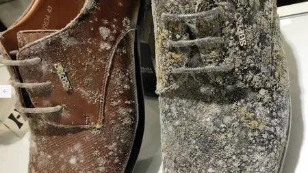 Articole mucegăite într-un mall, după ce a fost închis timp de două luni din cauza coronavirusului. Angajaţii au fost şocaţi
