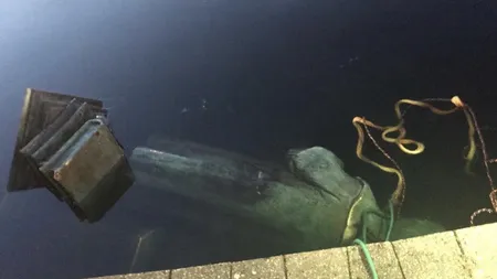 Violenţe în SUA. Statuia lui Cristofor Columb a fost incendiată şi aruncată în lac. 
