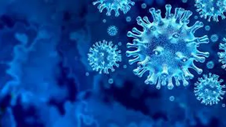 Încă un elev confirmat cu noul coronavirus. Cursurile au fost SUSPENDATE la o şcoală din Suceava