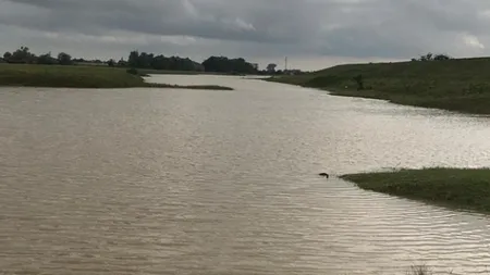 COD ROŞU şi PORTOCALIU de inundaţii în România. Peste 30 de judeţe sunt vizate