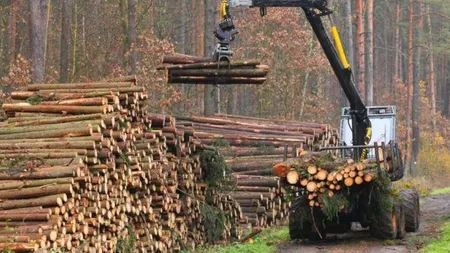 Nereguli grave ale companiilor austriece, în România. ANAF a prezentat raportul, în urma controalelor