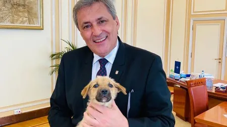MAI a adoptat un căţeluş. Ministrul Vela face apel la oameni să-i adopte şi pe fraţii lui Max