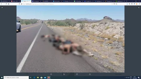 Masacru în Mexic, cadavrele au fost aruncate pe marginea şoselei. Şoferii s-au îngrozit când au văzut trupurile VIDEO