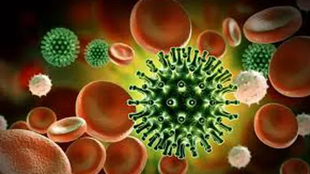 Sute de români infectaţi cu coronavirus la un abator din Germania. 17 dintre ei au FUGIT din carantină. Explicaţiile MAE