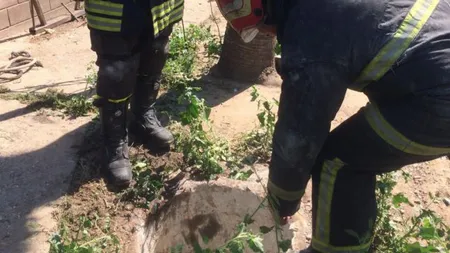 Un gălăţean a decedat după ce a căzut într-un beci improvizat cu tescovină