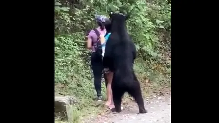 VIDEO INCREDIBIL! Ce a făcut un urs, după ce o turistă a făcut selfie cu el. Femeia mai era cu două prietene