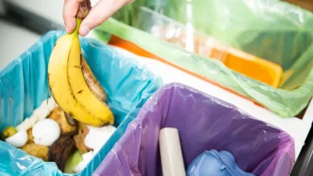 Românii trebuie să arunce separat la gunoi fructele şi legumele. Amenzi de 400 de lei pentru cine nu respectă