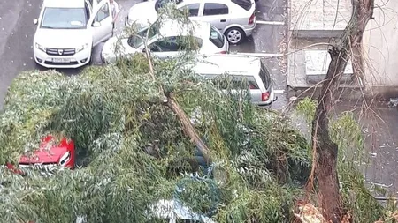 Furtună puternică la Craiova: Străzi inundate, maşini distruse de copac doborât de vânt VIDEO