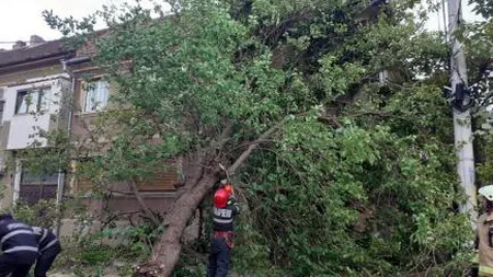 ALERTĂ METEO. Cod galben de vânt în mai multe judeţe