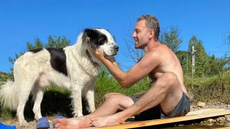Câine ciobănesc, împuşcat sub ochii stăpânului de gestionarul unui fond de vânătoare