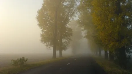 COD GALBEN de ceaţă în România. Vizibiltatea scade sub 200 de metri