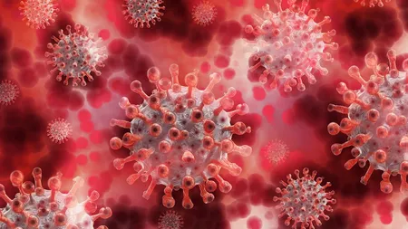 Coronavirusul ar putea fi UCIS de o moleculă naturală. Substanţa e prezentă în ceapa roşie şi ridichi