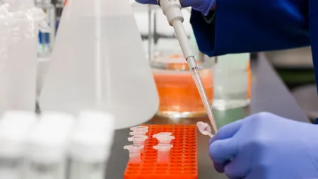 BILANŢ CORONAVIRUS 7 SEPTEMBRIE ROMÂNIA. 883 de noi cazuri, 33 de decese şi 465 de pacienţi la ATI în ultimele 24 de ore