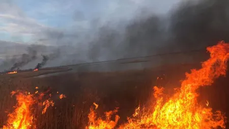 Incendiu de vegetaţie puternic în Prahova! Un bărbat a suferit arsuri pe aproape jumătate din corp